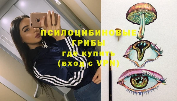 альфа пвп Снежногорск