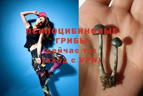 альфа пвп Снежногорск