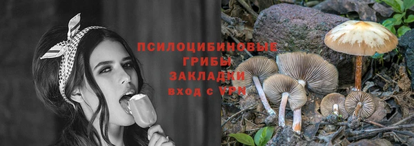 альфа пвп Снежногорск