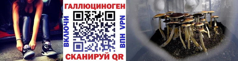 Псилоцибиновые грибы Psilocybine cubensis  Купить где  Нерехта 